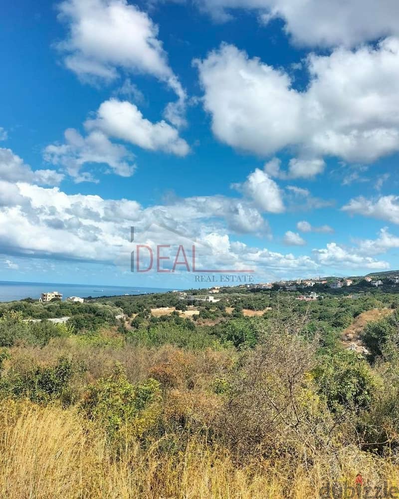 4,121 sqm Land for sale in Chikhane REF#JH17478 1