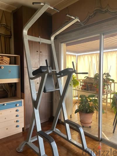 Calisthenics Power Tower for Strength Training