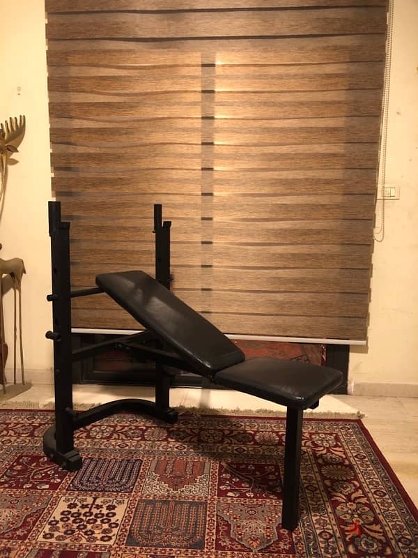 Adjutable bench + Rack (ONLY 75$) 0