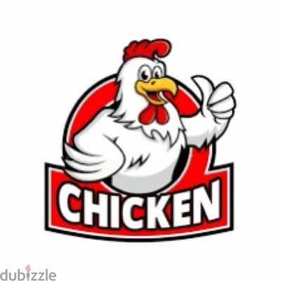 chicken bovans دجاج بلدي بوفانز