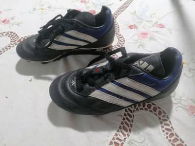 soccer shoes