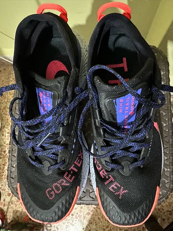 NIKE gore tex trail 1