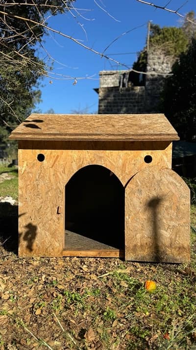 Dog House