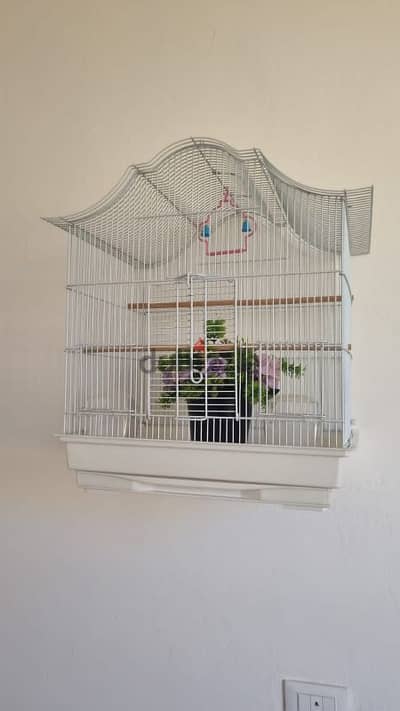 bird cage