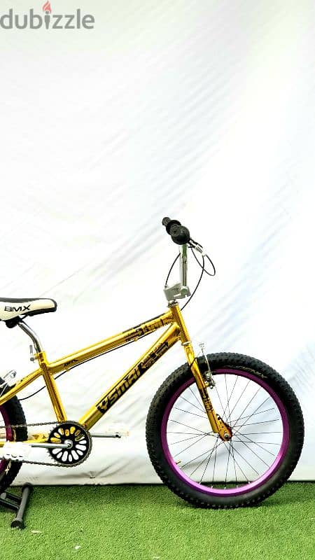 bmx 20 bike new 1