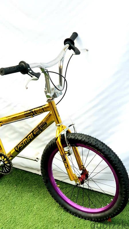 bmx 20 bike new 3