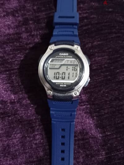 CASIO