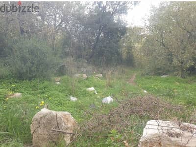 2600m2 Land in eddeh,Batroun عقار للبيع في اده،البترون