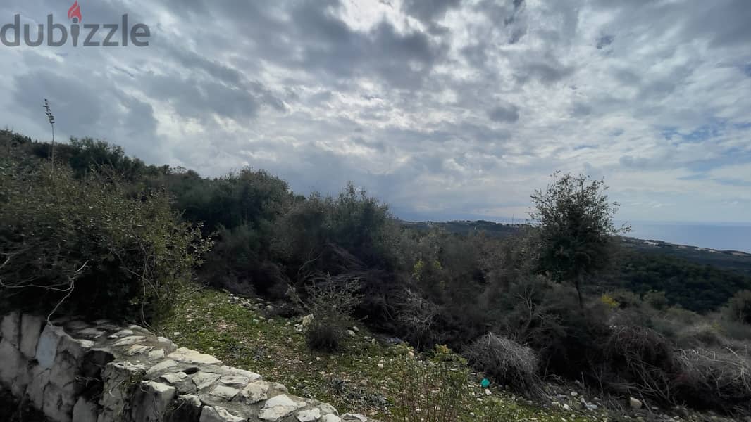 RWB215CA - Land for sale in Bekhaaz Jbeil 6