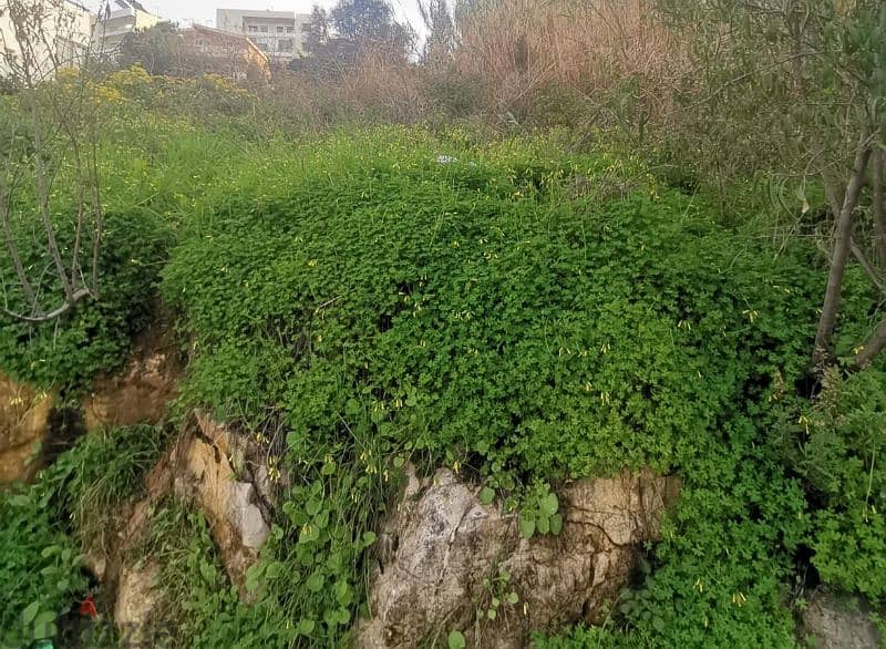 land for sale in beit chaar أرض للبيع في بيت الشعار 0