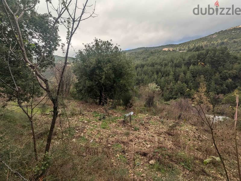 Land For Sale In Zebdine | Amazing View | أرض للبيع | PLS 26252 2