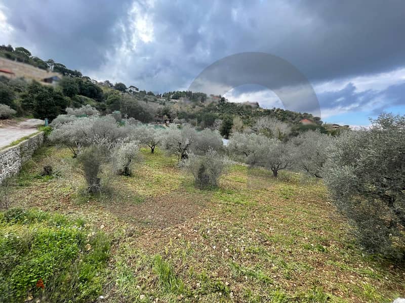 Prime location, batroun, jran/جران REF#CL117973 1