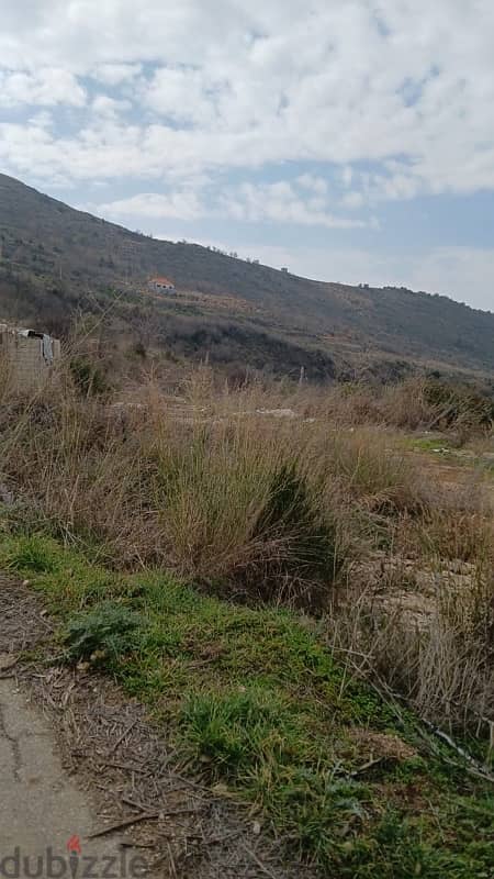 ارض للبيع في الرملية عاليه land for sale in ramlye aley 1