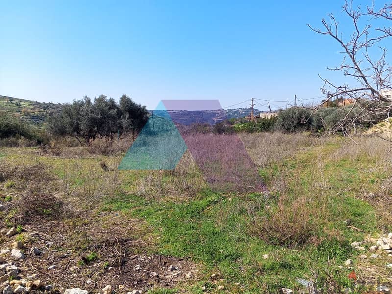 Land for sale in Jrabta -Batroun |    أرض للبيع في البترون 1