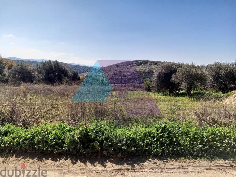 Land for sale in Jrabta -Batroun |    أرض للبيع في البترون 2