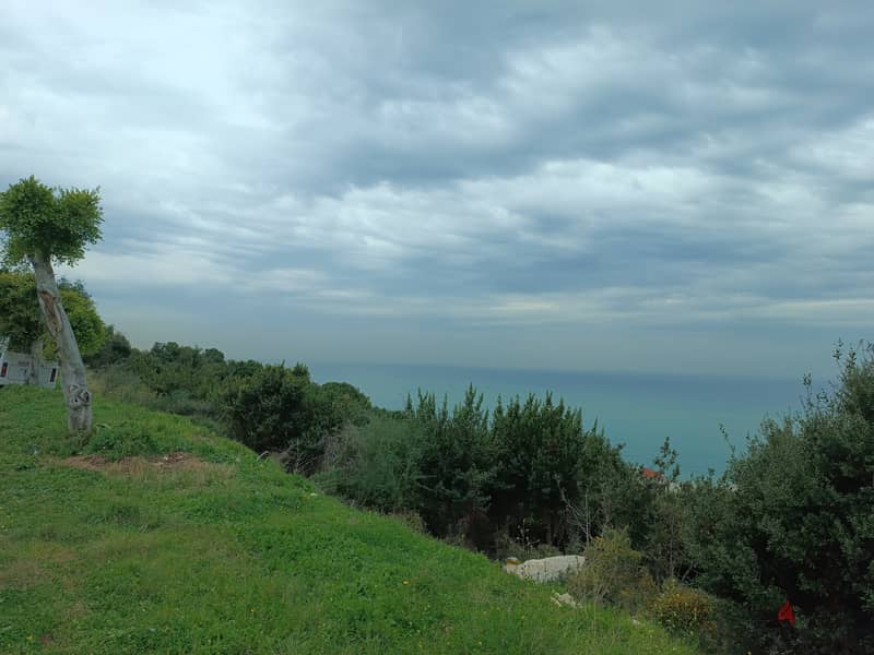 Land For Sale In Halate | Amazing Land | أرض للبيع | PLS 25985 1