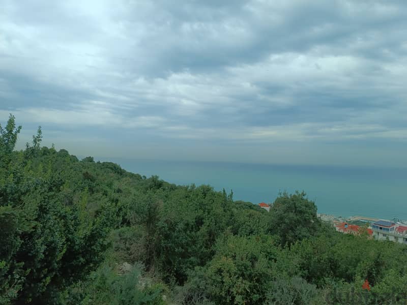 Land For Sale In Halate | Amazing Land | أرض للبيع | PLS 25985 4