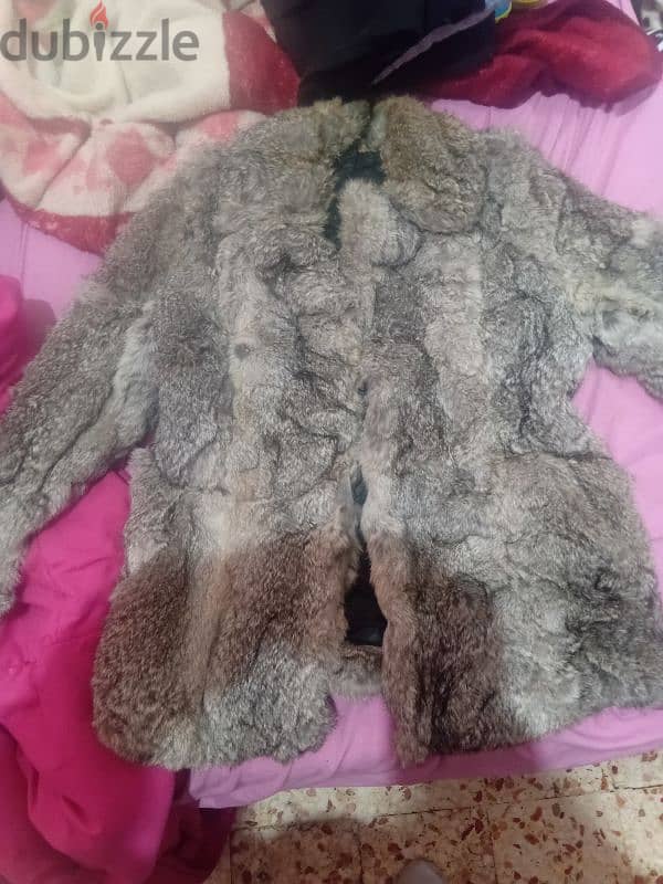 rabbit fur coat 1