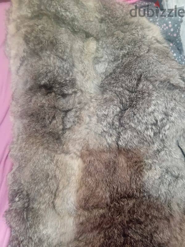 rabbit fur coat 2