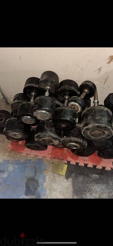 used hammer strength dumbbells for sale wtsp 81701084 heavy weights