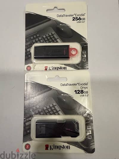 KingSton USB 128Gb / 256Gb