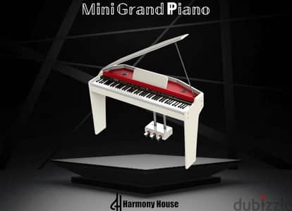 Mini Grand Piano Modern