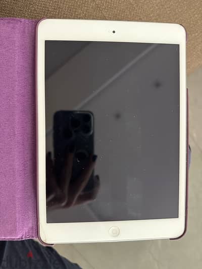 ipad mini 2