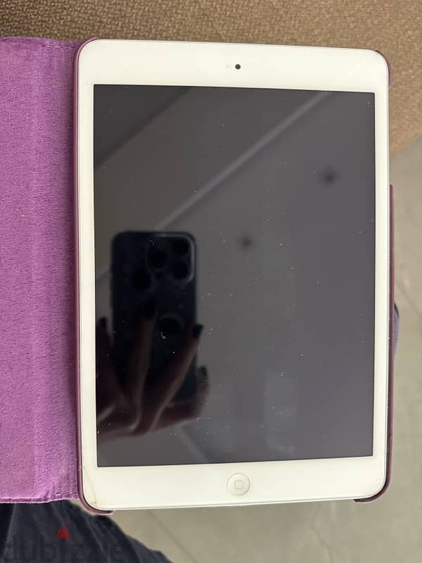 ipad mini 2 0