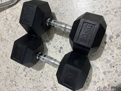 dumbbells 20kg