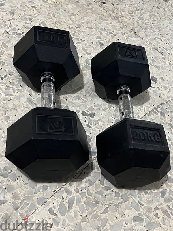 dumbbells 20kg 1