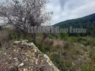 Land for Sale | Open View | Zebdine - Jbeil