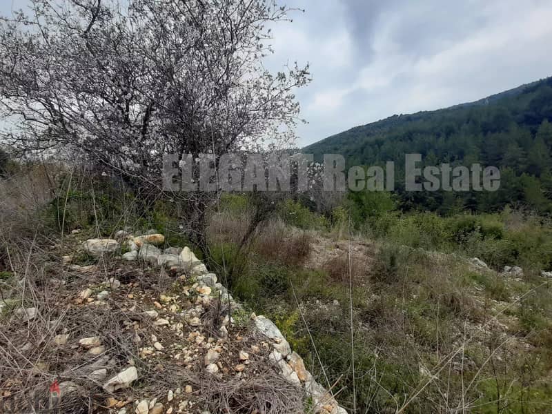 Land for Sale | Open View | Zebdine - Jbeil 0