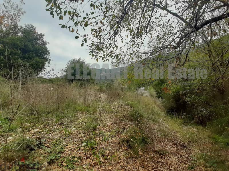 Land for Sale | Open View | Zebdine - Jbeil 1