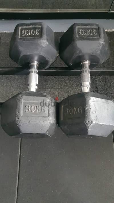 30 kg dumbell pair