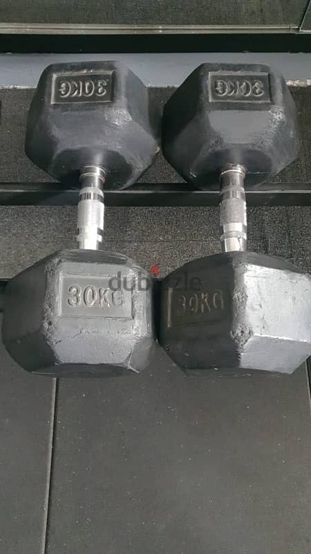 30 kg dumbell pair 0