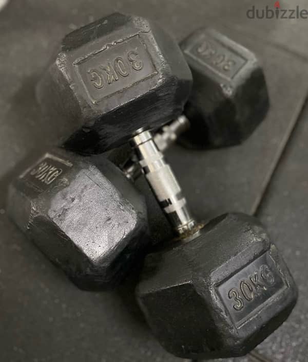 30 kg dumbell pair 1