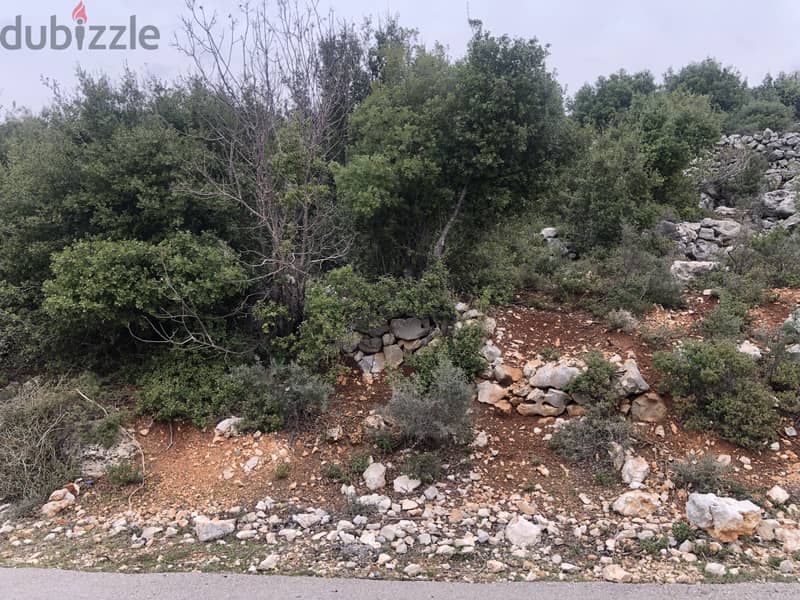 RWB112CC - Prime location land for sale in Metrit Koura 6