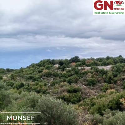 Land For Sale In Monsef ارض للبيع في المنصف