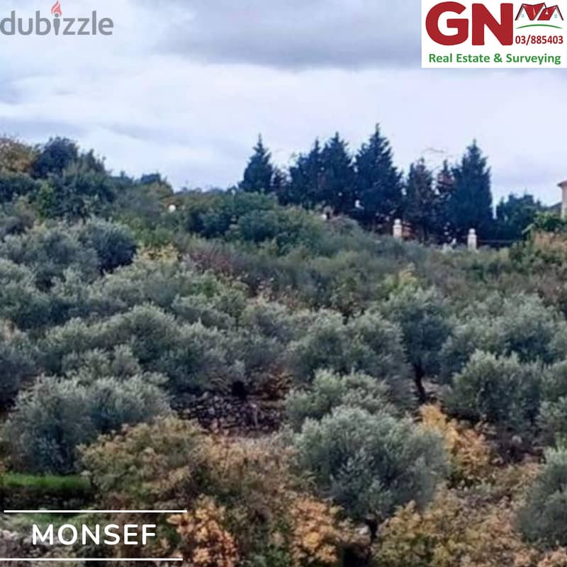 Land For Sale In Monsef ارض للبيع في المنصف 1