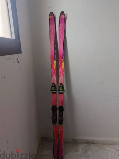 salomon skis