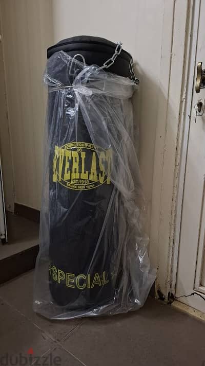 everlast boxing bag