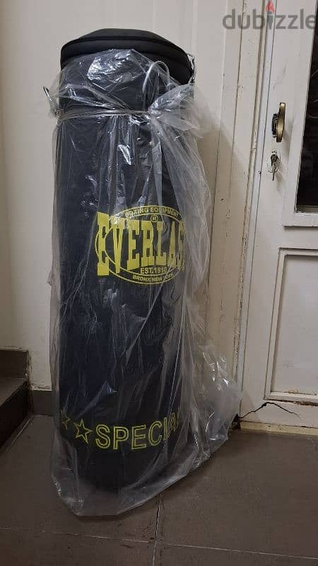 everlast boxing bag 1