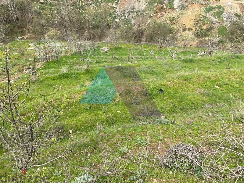 Land+Mountain View for Sale in Hrajel -  أرض للبيع في حراجل 1