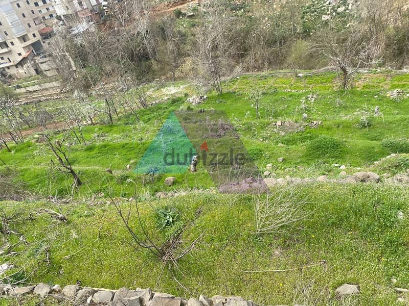 Land+Mountain View for Sale in Hrajel -  أرض للبيع في حراجل 4