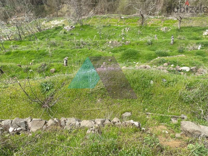 Land+Mountain View for Sale in Hrajel -  أرض للبيع في حراجل 5