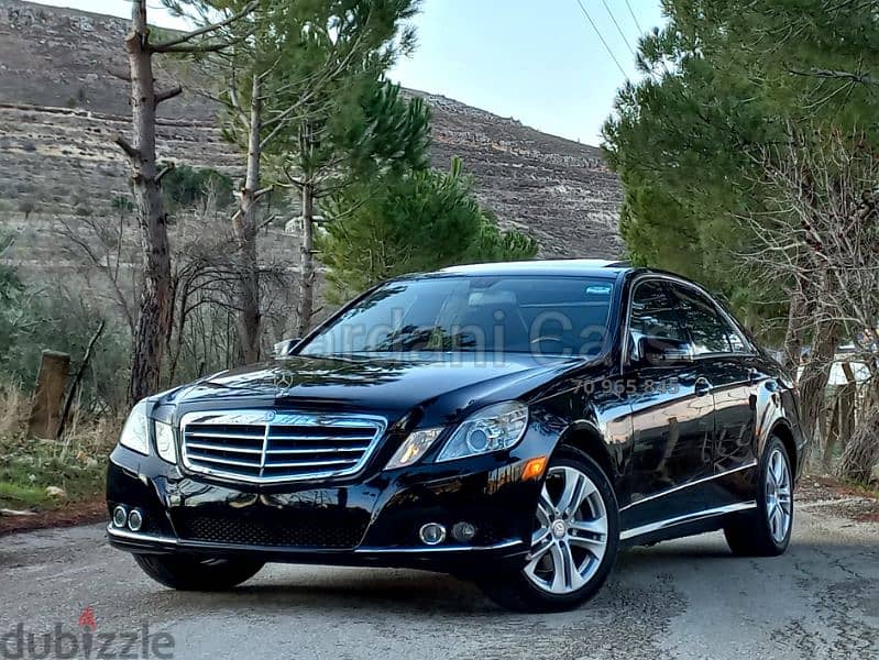 2010 Mercedes-Benz E 350 0