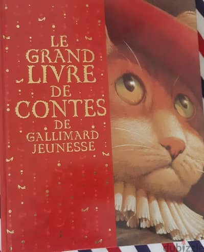 livre pour enfant