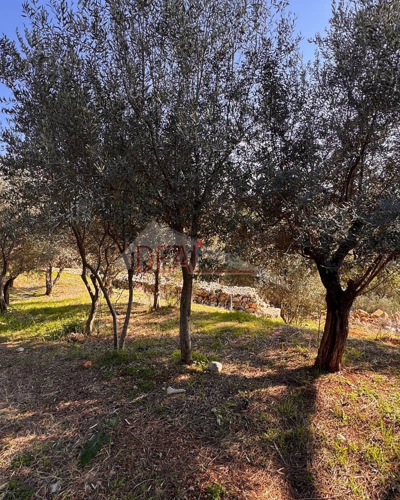 land for sale in Jeita عقار للبيع في جعيتا 1