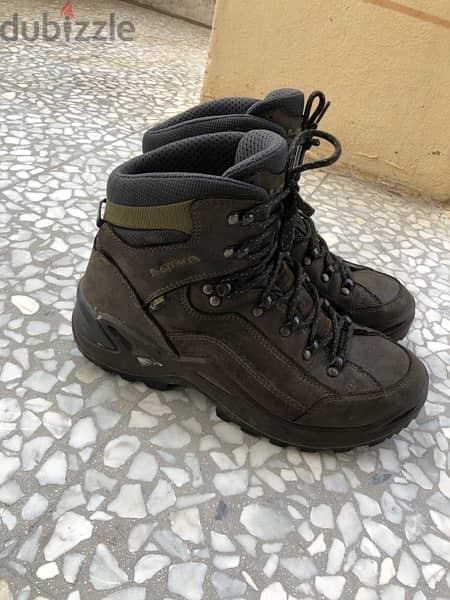 lowa renegade gtx hiking boots 2