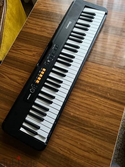 Casio Casiotone ct-s100 battery powered keyboard piano